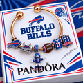 BFBL Silver Charm Bracelet Set NTVA